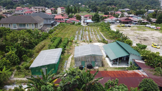 LAND FOR SALE - Flat Land at Penchala River, Damansara