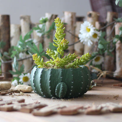 META SPACE GARDENS Cactus Style Flower Pot