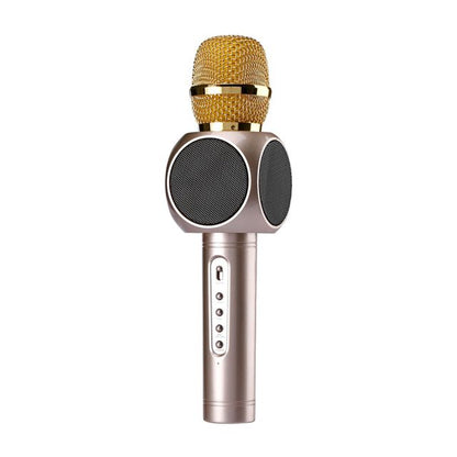 AXEL Karaoke Microphone 63x245 mm