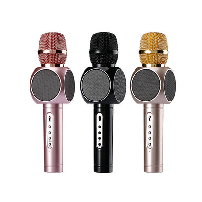 AXEL Karaoke Microphone 63x245 mm