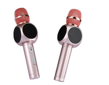 AXEL Karaoke Microphone 63x245 mm