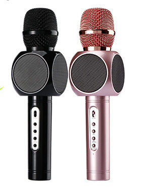 AXEL Karaoke Microphone 63x245 mm