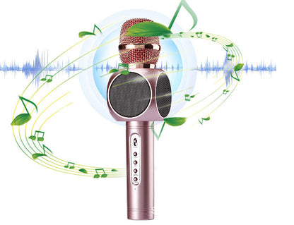 AXEL Karaoke Microphone 63x245 mm