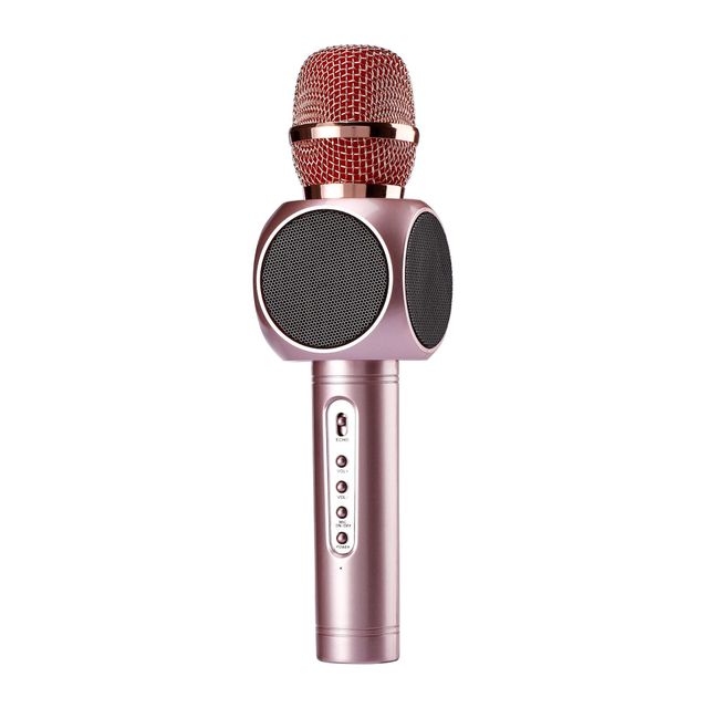 AXEL Karaoke Microphone 63x245 mm