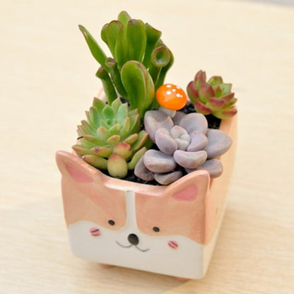 Animal Themed Ceramic Flower Pot